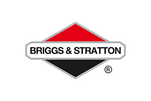 Запчасти для BRIGGS & STRATTON